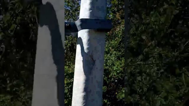 Интенсивный сад у себя дома, капельный полив смотреть онлайн