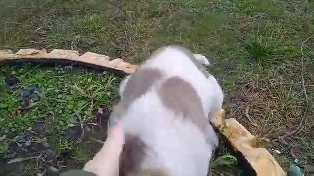 На Хуторе ждём весну!!!//Строим кладовку!!!