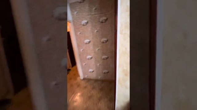 Однокомнатная квартира на Р. Зорге 26/1. Уфа смотреть онлайн