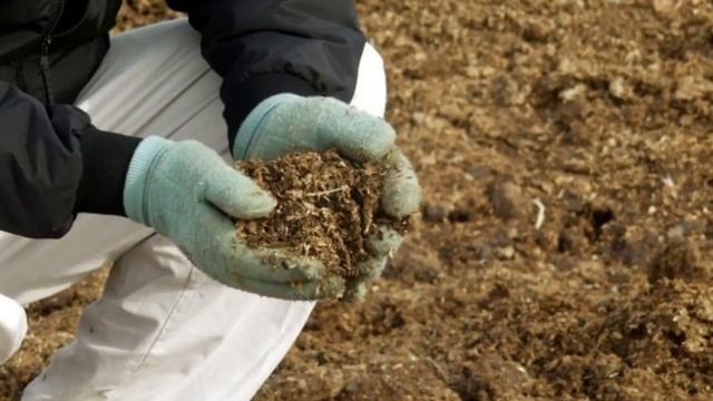 СЕКРЕТЫ осенней пересадки клубники смотреть онлайн