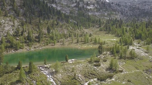 Кактусы Мексики. Самые популярные кактусы Мексики. смотреть онлайн