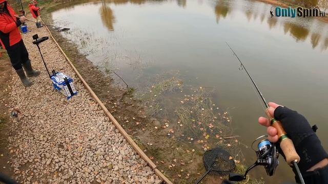 Безлимит ДУРЫКИНО. Ловля ФОРЕЛИ НА СПИННИНГ. Рыбалка с #OnlySpin смотреть онлайн