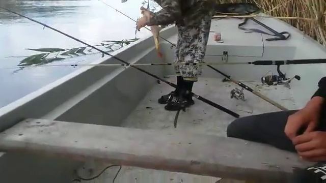 Рыбалка на завидово смотреть онлайн