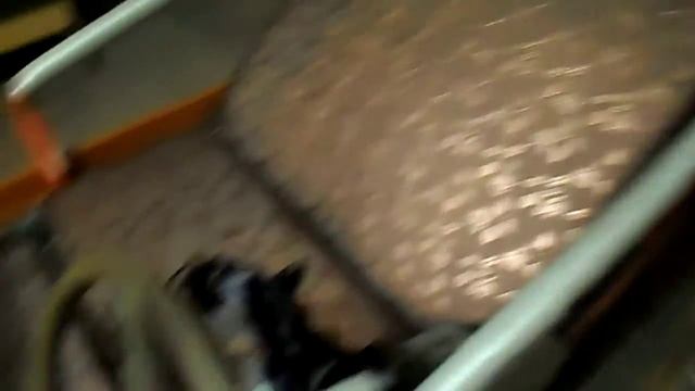 SAM 1403 смотреть онлайн