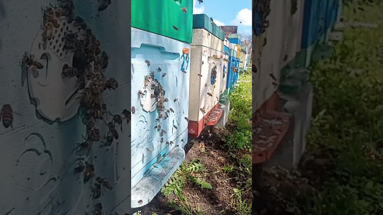 Первый теплый день!!! смотреть онлайн