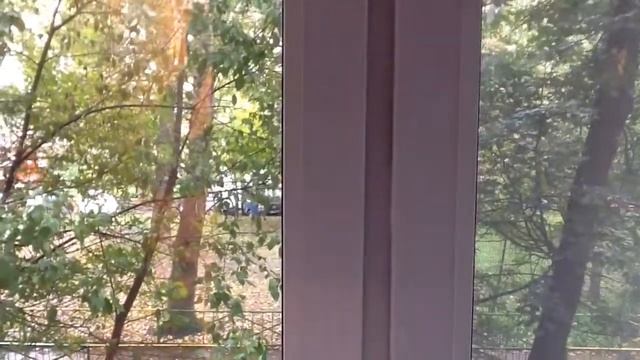 Чистка окон. Подоконник. смотреть онлайн