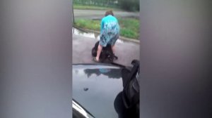 Стафорширдский терьер насмерть загрыз таксу