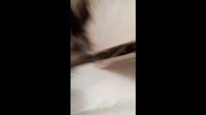 Котел Атон тухнет и специфический запах. Чистка котла