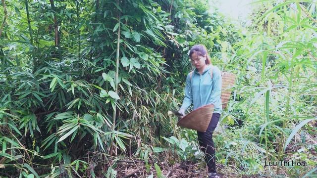 go to the forest to peel bamboo shoots - Orphan boy in trouble - Save people in danger in the fores смотреть онлайн