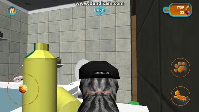 обзор игры (CatSimulator)