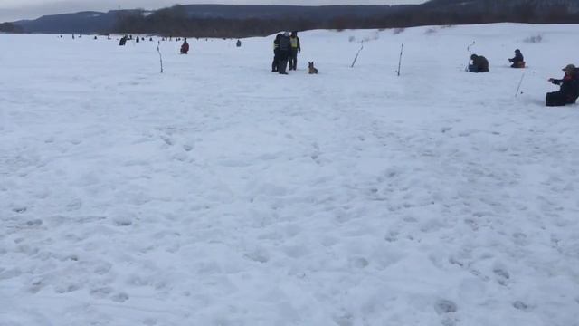 Соревнования по ловле на мормышку смотреть онлайн