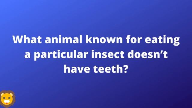 Animal Trivia Questions With Answers | Animal Quiz Game смотреть онлайн