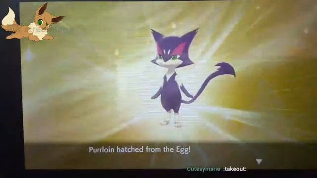 Pokemon Sword and Shield shiny hunting Purrloin day 2 смотреть онлайн