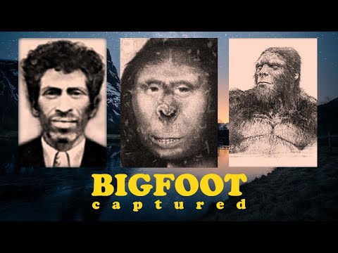 Russian Villagers Capture Female Sasquatch смотреть онлайн