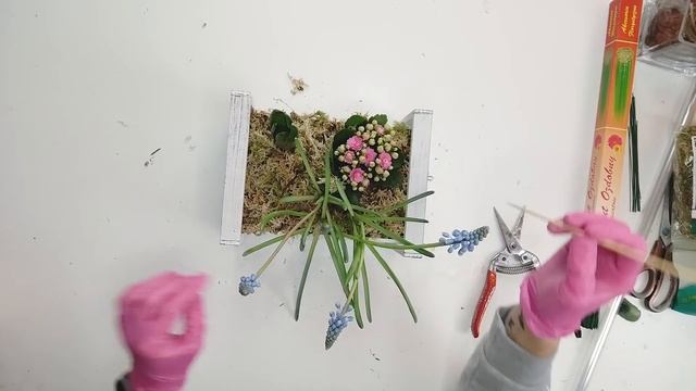 Весенний Садик в Ящике из Фикс Прайс ? Композиция из Горшечных ? Идея Подарка на 8 Марта ? смотреть онлайн