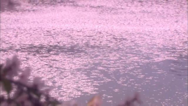 古今和歌集 / The Kokinshû. Spring Poems. Part II, 118 / Весенние песни. Сувий 2 (KKS II, 118) смотреть онлайн