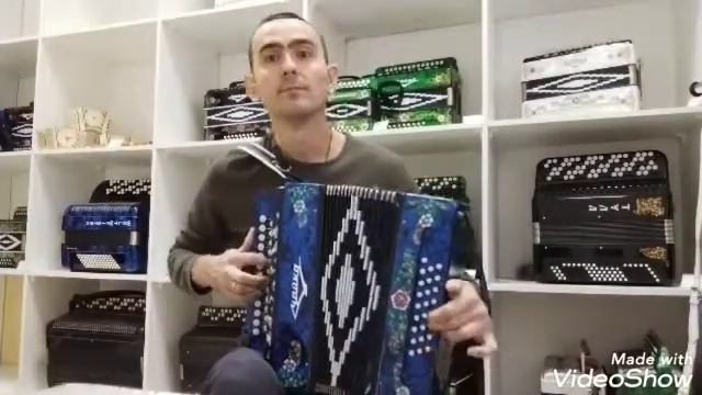 гармонь Чайка-204 смотреть онлайн