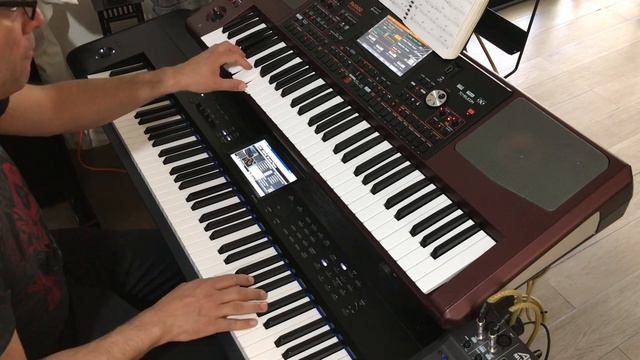 Korg Pa 1000 All of Me смотреть онлайн