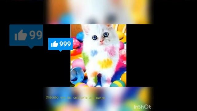 Милые картинки!!!! смотреть онлайн