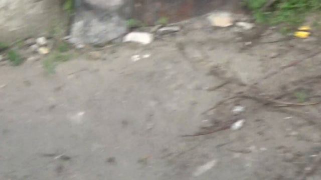 Дом для животных. Людмила Репина. смотреть онлайн
