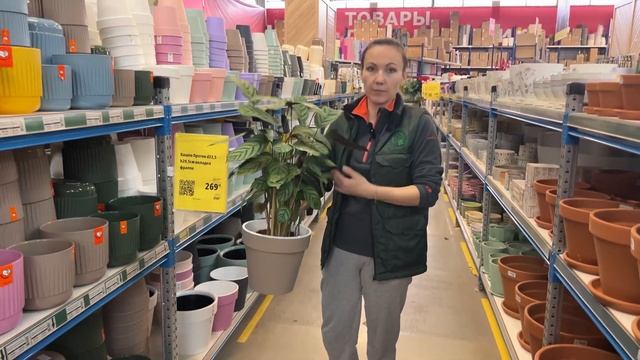 Скидки в Гринвилль! Большой обзор кашпо и горшков для растений! смотреть онлайн