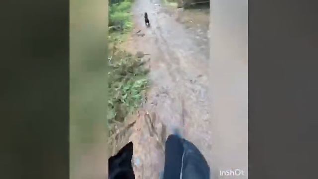 Линдуловская роща смотреть онлайн