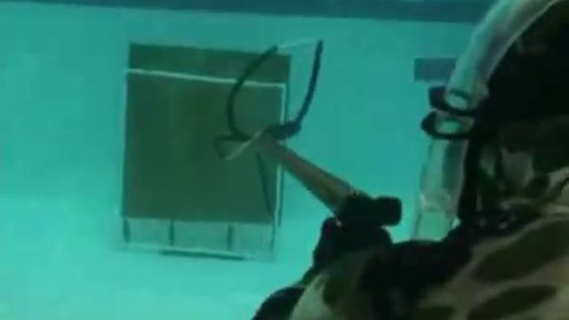 Подводная охота. Тест ружей-арбалетов. смотреть онлайн