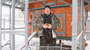 ЙОД - КАК ЛЕЧИТЬ КУР?