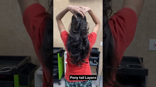Signature hair cut | ponytail | texture | layers | step’s #haircut #artist #love @rajeshbaldaniya смотреть онлайн