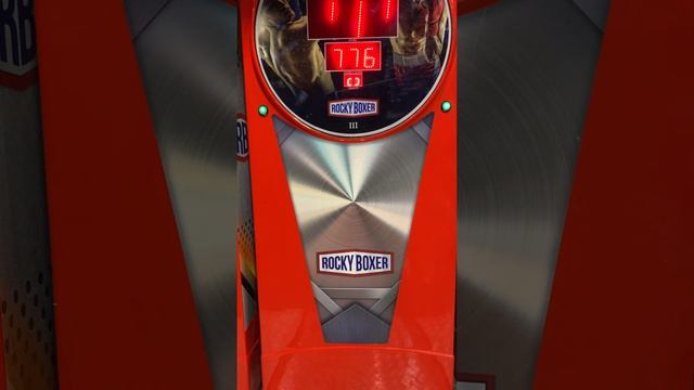 Корпуса силомера боксер Rocky Boxer