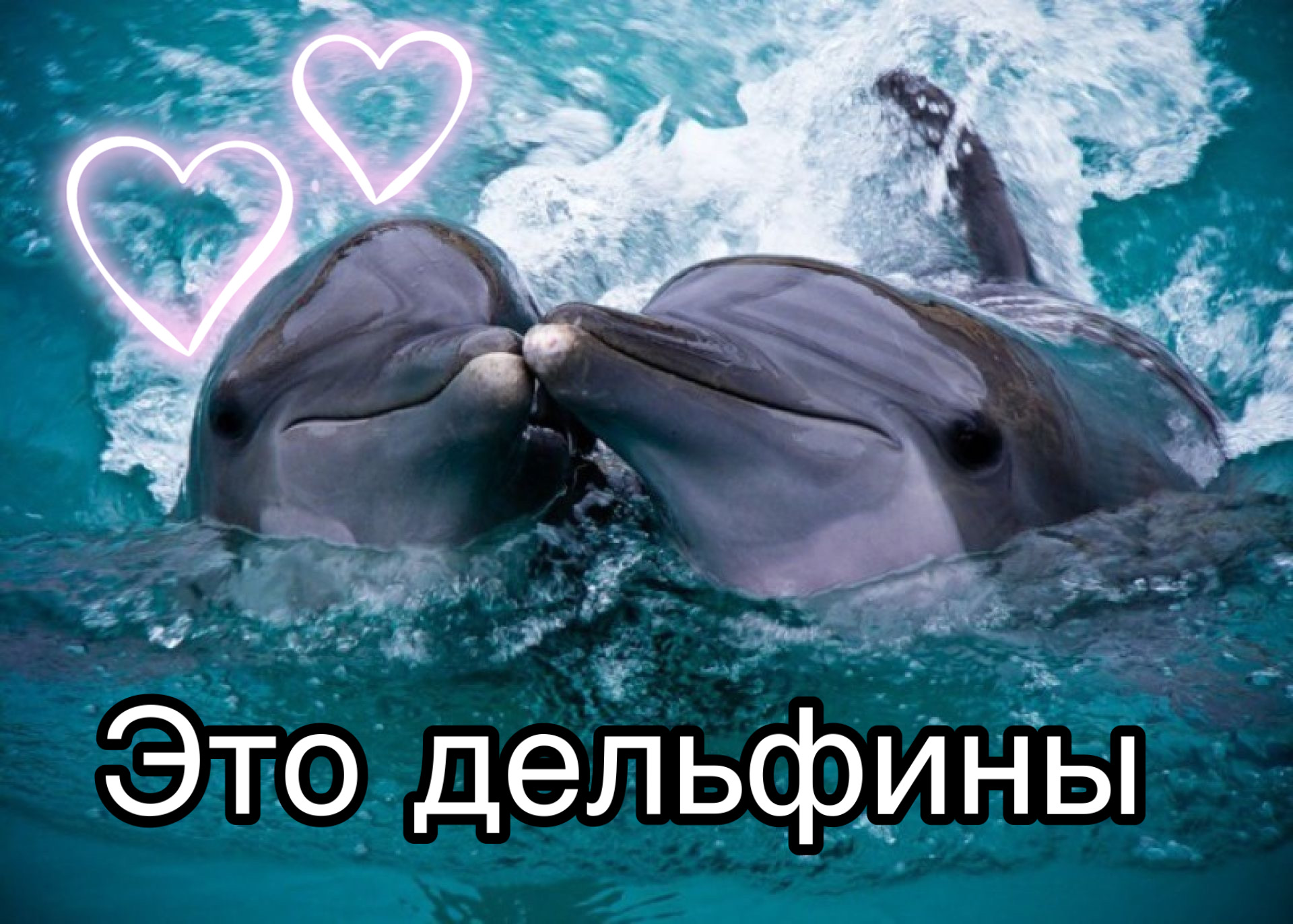 ЛЮБОВЬ ТАКАЯ... #shorts смотреть онлайн