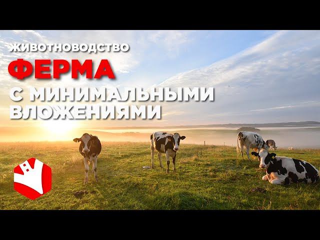 Ферма с минимальными вложениями | Поддержка фермеров | Гранты фермерам