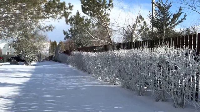 Буря за 20 минут, и сново солнце и за 5 минут сново Буря. #любимыйсадутатьяны @GardenTatsiana смотреть онлайн