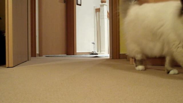 He got the Power смотреть онлайн