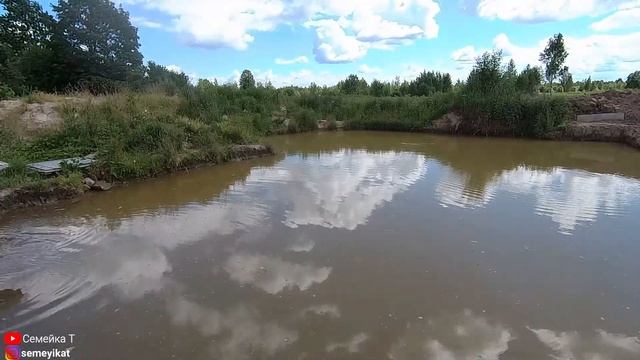 Свой пруд: Зарыбление карпом своего пруда на дачном участке. Корм и кормушки для рыбы в пруду смотреть онлайн