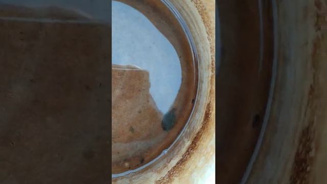 Что это за существа с раздвоенным хвостом? смотреть онлайн