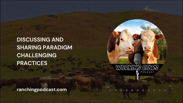 Ep. 352 – Ryan White – Measuring What Matters | Working Cows