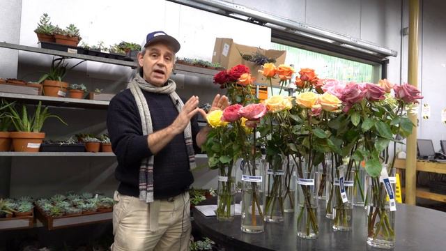 New Rose Varieties & Why Red Roses Cost So Much at Valentine's смотреть онлайн