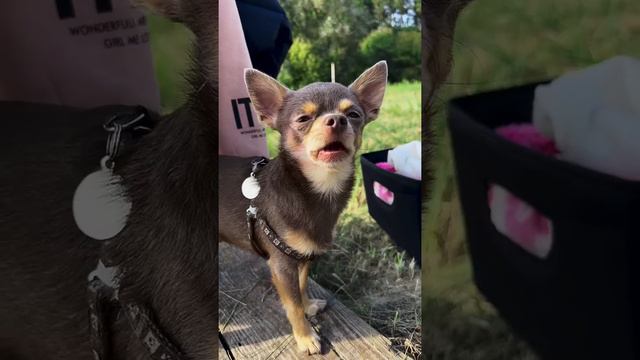 Лёня поздравляет Вадима смотреть онлайн