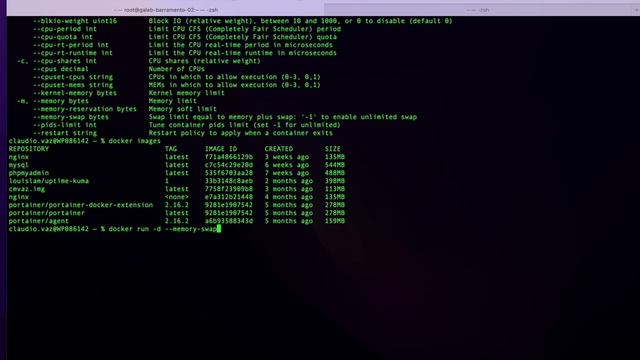 DOCKER - COMO DEFINIR O USO DE CPU E MEMÓRIA DOS SEUS CONTAINERS! смотреть онлайн
