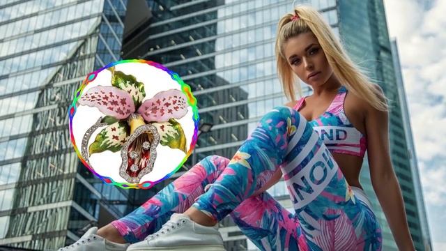Brass Orchid - Bobby Richards _ YouTube Audio Library _ New Music смотреть онлайн