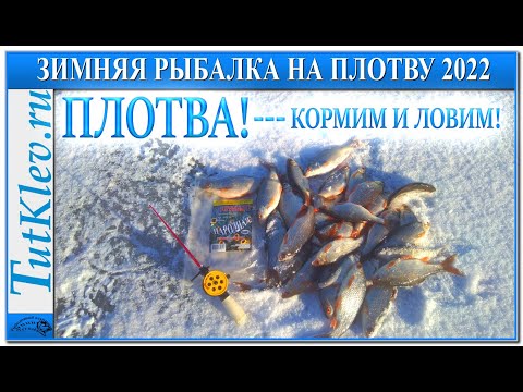 КРУПНАЯ ПЛОТВА! Ловим плотву зимой на мормышку. Прикормка для плотвы зимой.mp4 смотреть онлайн