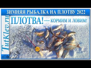 КРУПНАЯ ПЛОТВА! Ловим плотву зимой на мормышку. Прикормка для плотвы зимой.mp4