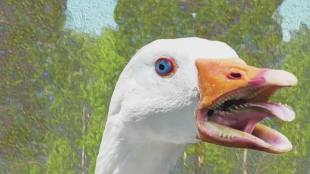 Частушки про чат в RUTUBE.Часть 1.mp4 смотреть онлайн