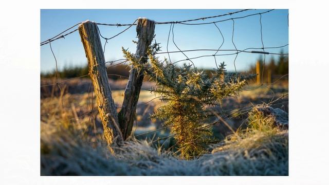 Leica M8 - One Frozen Leica Camera!! | A Photo Walk in Ireland during Artic weather | 4k смотреть онлайн