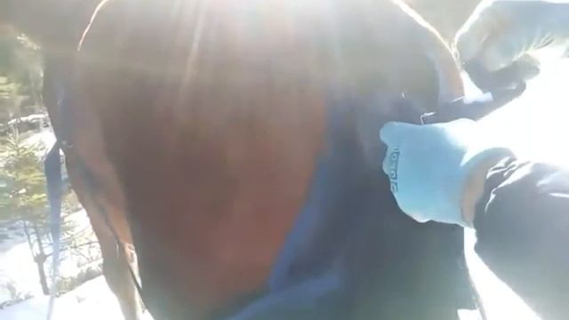 Мешок под хвост лошади смотреть онлайн