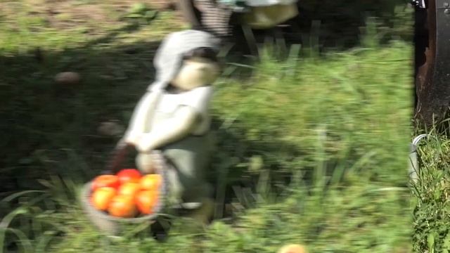 Переделкино Резиденция Патриарха Кирилла смотреть онлайн