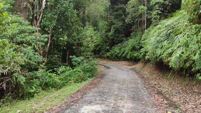 Начало Джунглей Бату Ферринги, Пенанг, Малайзия. Часть-1 смотреть онлайн