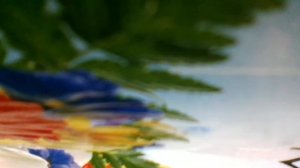 Алёнка(А колеса стучат и бегут поезда, а ты уезжаешь Аленка. И я боюсь, что больше уже (наброски)