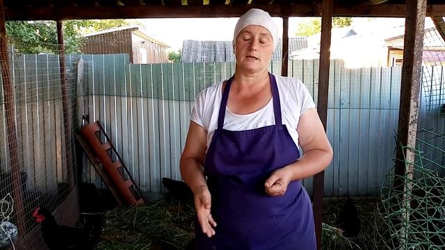 Птичий грипп - ОПАСНОЕ заболевание кур. Профилактика или как помочь курам. смотреть онлайн